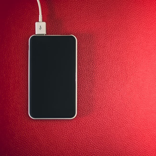 Fast Charger